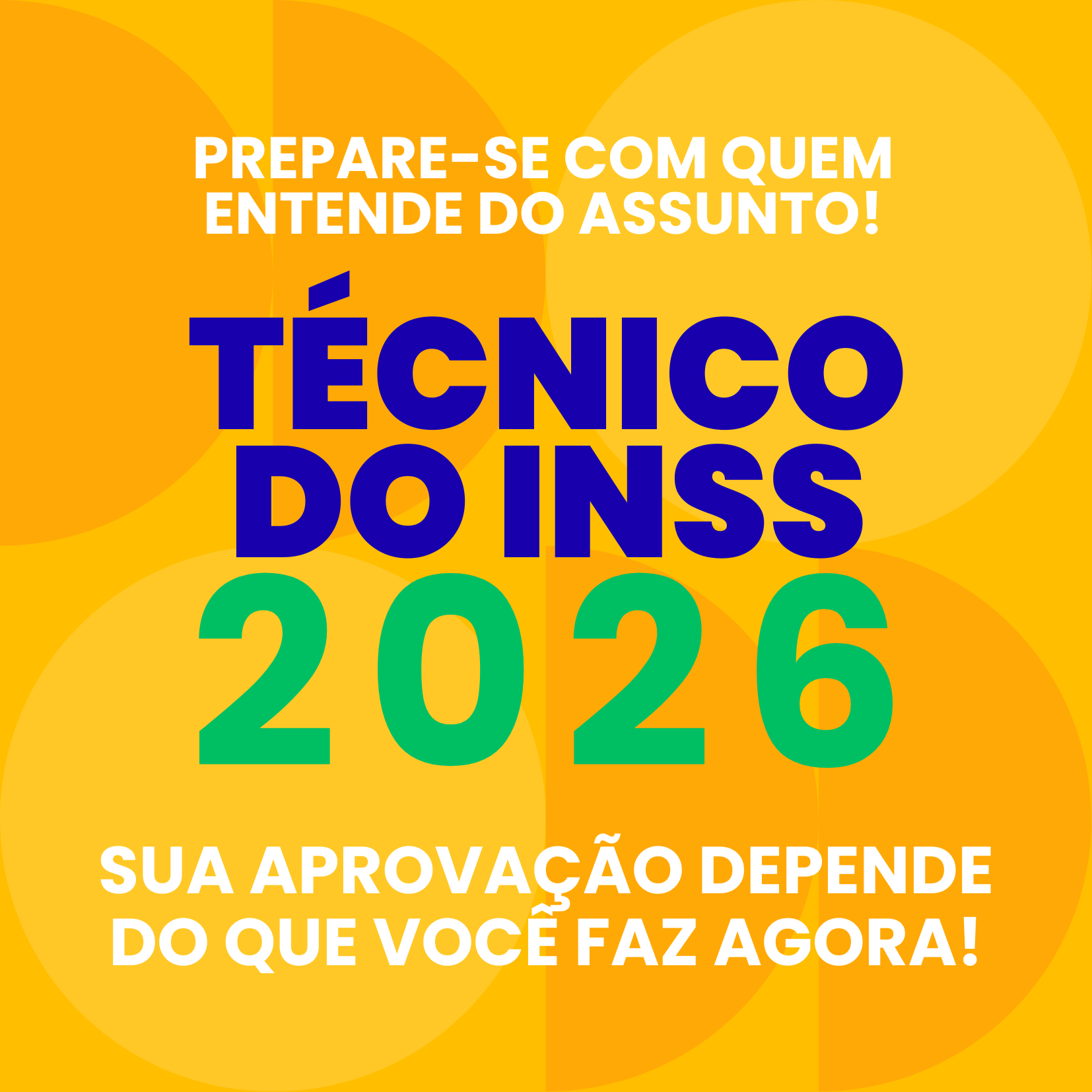 Decolando para o INSS 2026
